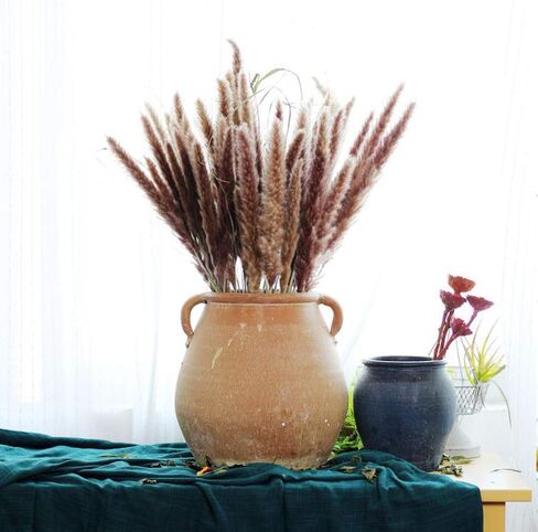 48" (4 FT) Length Pampas Grass 3 Stems - Tall Large Natural Dried Pampas for Flower Arrangements Wedding Boho Home Decor (Beige) in Kuwait