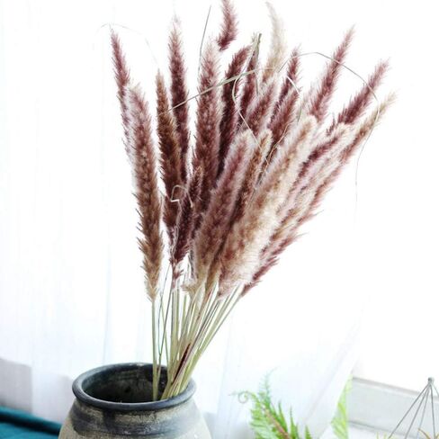 48" (4 FT) Length Pampas Grass 3 Stems - Tall Large Natural Dried Pampas for Flower Arrangements Wedding Boho Home Decor (Beige) in Kuwait