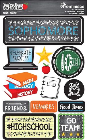 Reminisce BEEN SCHOOLED STCKRS 10TH GRADE, us:one size in Saudi Arabia