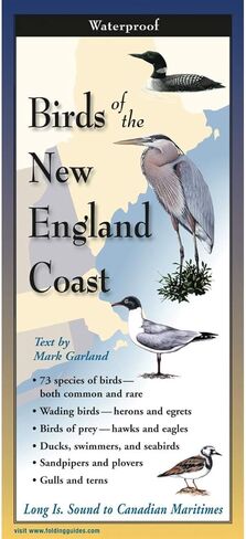 Earth Sky + Water FoldingGuide™ - Birds of The New England Coast - 10 Panel Foldable Laminated Nature Identification Guide in Saudi Arabia
