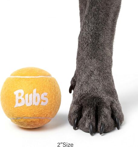 BubS Premium Durable Squeaker Balls for Dogs & Cats 3-Pack (2 inch) – Tennis Ball Style, Bouncy, Interactive, Safe & Long Lasting Fetch Pet Toys for Endless Fun (Small) in Saudi Arabia