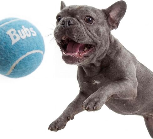 BubS Premium Durable Squeaker Balls for Dogs & Cats 3-Pack (2 inch) – Tennis Ball Style, Bouncy, Interactive, Safe & Long Lasting Fetch Pet Toys for Endless Fun (Small) in Saudi Arabia