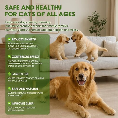 80S Dog Calming Diffuser, 4-in-1Dog Pheromones Calming Diffuser - for Stress, Destructive Behavior, Pee Accidents, Separation Anxiety, Barking, Aggression & Chewing - Help Train Dogs to Pee in Kuwait