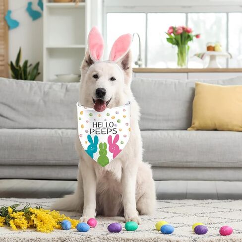 Easter Dog Bandanas, Reversible Hello Pepes Easter Eggs Pet Scarf 2 Pack, Happy Easter Puppy Dual-Layer Dog Kerchief in Saudi Arabia