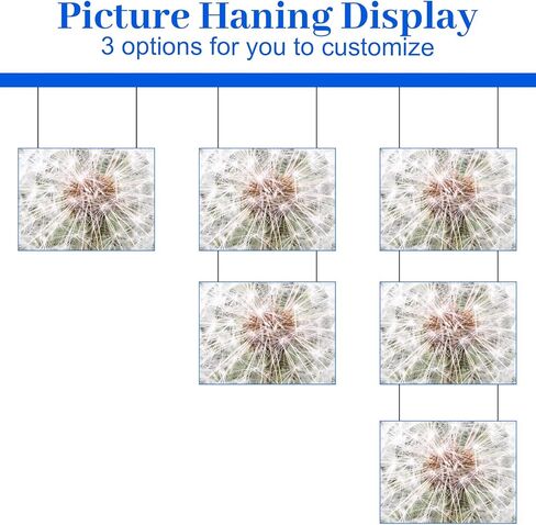 Adjustable Picture Hanging Wire Kit, 6PCS 1.5M Stainless Steel Art Display System, 55LB Load Capacity, S Hooks for Gallery Exhibition Mirror Billboards in Saudi Arabia