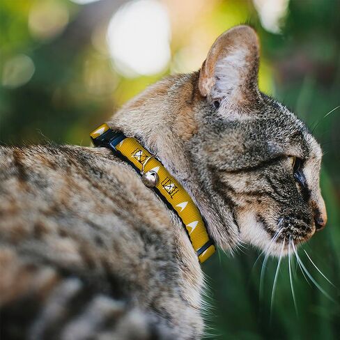 CBS Studios Inc. Cat Collar, Breakaway Collar with Bell, Star Trek Starfleet Insignia Golden Yellow White, 8.5 to 12 Inches 0.5 Inch Wide in Saudi Arabia