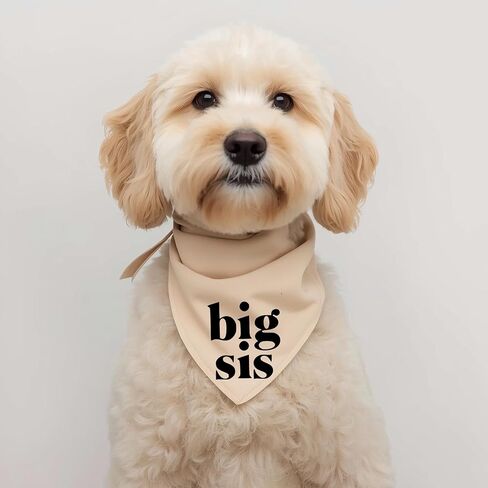 Big Sis Dog Bandana Beige Cream Minimal Simple Creamy tan Natural Cotton Baby Announcement Pregnancy Announcement in Saudi Arabia