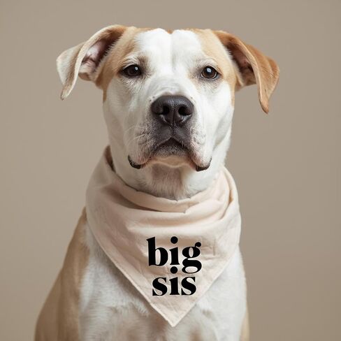 Big Sis Dog Bandana Beige Cream Minimal Simple Creamy tan Natural Cotton Baby Announcement Pregnancy Announcement in Saudi Arabia