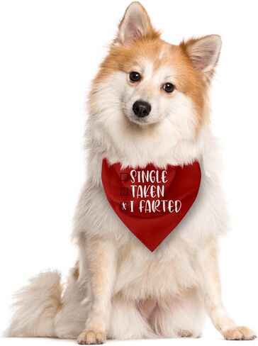 Single Taken I Farted Dog Bandana، باندانا الكلب في عيد الحب، ملحقات وشاح الحيوانات الأليفة للكلاب المتوسطة الصغيرة والقطط دعامة للصور، عصابات حمراء للحيوانات الأليفة، هدايا عيد ميلاد لمحبي الكلاب in Saudi Arabia