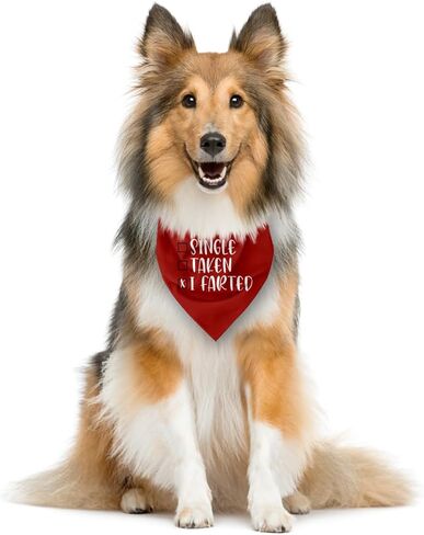 Single Taken I Farted Dog Bandana، باندانا الكلب في عيد الحب، ملحقات وشاح الحيوانات الأليفة للكلاب المتوسطة الصغيرة والقطط دعامة للصور، عصابات حمراء للحيوانات الأليفة، هدايا عيد ميلاد لمحبي الكلاب in Saudi Arabia