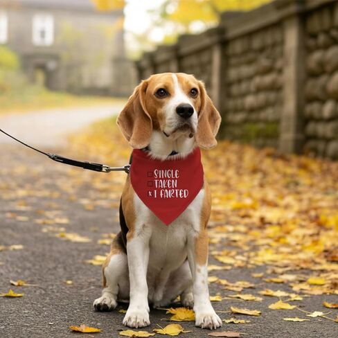 Single Taken I Farted Dog Bandana، باندانا الكلب في عيد الحب، ملحقات وشاح الحيوانات الأليفة للكلاب المتوسطة الصغيرة والقطط دعامة للصور، عصابات حمراء للحيوانات الأليفة، هدايا عيد ميلاد لمحبي الكلاب in Saudi Arabia