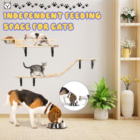 أرفف حائط للقطط - مجموعة أثاث ثابتة وآمنة 5 في 1 لجدران القطط، جدار خشبي لتسلق القطط مع سلم جسر ودرجات حائط in Kuwait