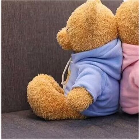 Teddy Bear Stuffed Animals Soft Plush Cute Teddy Bear Doll for Boys Girls 11.8in (taidi Xiong lanse) in Saudi Arabia
