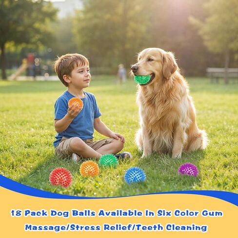 18 Pcs Squeaky Dog Toy Balls, 2.5 Inch Bulk Durable Spikey Dog Balls 6 Colors Puppy Chew Toys for Small Medium Large Dogs Clean Teeth and Training in Saudi Arabia