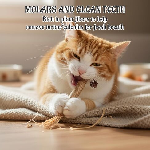 8 Pack Natural Cat Chew Toys,Silvervine Sticks for Cats,Silver Vine Sticks Cats Love, Durable and Safe Kitten Teething Sticks, Made with Premium Matatabi Wood in Kuwait