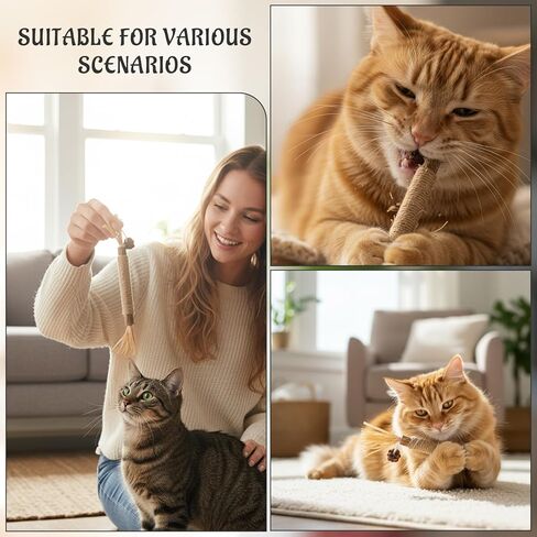 8 Pack Natural Cat Chew Toys,Silvervine Sticks for Cats,Silver Vine Sticks Cats Love, Durable and Safe Kitten Teething Sticks, Made with Premium Matatabi Wood in Kuwait