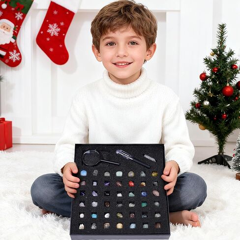 Rock Collection Starter Kit, 43 Pcs Rocks, Gemstones & Crystals Assorted Kit with Guide, Minerals Geology Education Science Gift for Adults Kids in Saudi Arabia