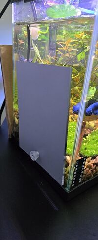 Betta Keeping & Enrichment - طقم مرآة للتمرين مع كوب شفط | تصميم آمن للخزان الخارجي لتمارين وتحفيز أسماك البيتا الصحية | مرآة كبيرة مقاس 4x5 بوصة in Kuwait