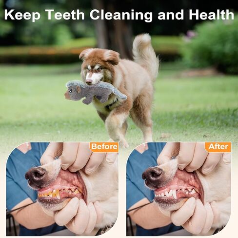 hdsmngy صار الكلب اللعب للمضغ العدوانية، ألعاب الكلب صار غير قابلة للتدمير مع ورقة التجعيد، دائم التسنين مضغ اللعب للسلالة المتوسطة والكبيرة (رمادي داكن الغرير العسل) in Kuwait