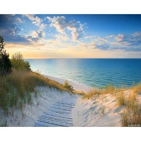 مجموعة الطلاء بالأرقام للبالغين Sunset Lake Sleeping Bear Dunes Lake Michigans مقاس 16 × 20 بوصة، ألوان DIY بالأرقام، طلاء أكريليك غير مؤطر على القماش للمبتدئين in Saudi Arabia
