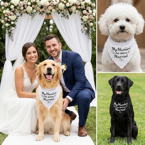 قطعتان من عصابات My Humans are Getting Married Bandanas، هدية خطوبة، لوازم حفلات خطوبة الكلاب، عصابات زفاف للكلاب، إكسسوارات وشاح للحيوانات الأليفة للكلاب والقطط الصغيرة المتوسطة in Kuwait