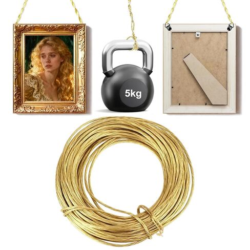 32.5 Feet (10m) Picture Hanging Brass Wire, 0.7mm Braided Copper Wire to Hang Pictures on Wall Heavy Gold Wire Flexible Metal for Photo Frame, Mirror for Picture Hanging (Supports up to 5KGs) in Saudi Arabia