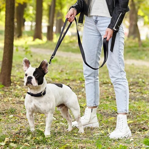 Dogline Biothane Waterproof Multi Handle Dog Leash with Black Hardware - Odor-Proof, Easy to Clean Traffic Control Lead - for Medium or Large Dogs, L 4 ft - W 3/4 in, Black in Saudi Arabia