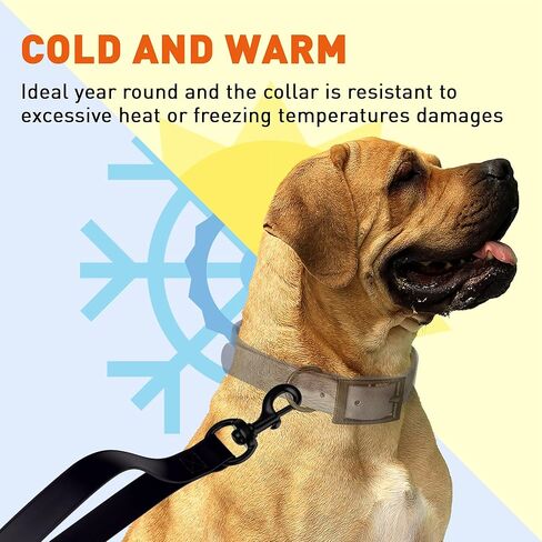 Dogline Biothane Waterproof Multi Handle Dog Leash with Black Hardware - Odor-Proof, Easy to Clean Traffic Control Lead - for Medium or Large Dogs, L 4 ft - W 3/4 in, Black in Saudi Arabia