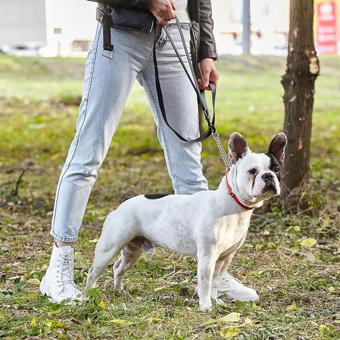 Dogline Biothane Waterproof Multi Handle Dog Leash with Black Hardware - Odor-Proof, Easy to Clean Traffic Control Lead - for Medium or Large Dogs, L 4 ft - W 3/4 in, Black in Saudi Arabia