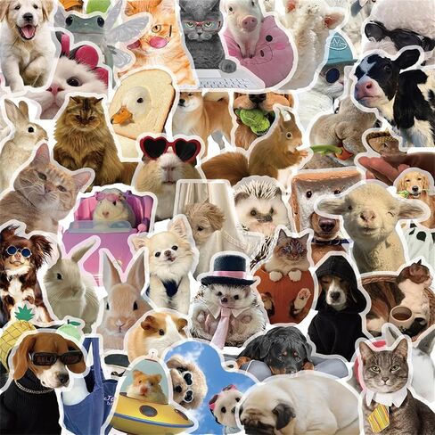 50 PCS Funny Dog and Cat Stickers for Kids Cute Animal Waterproof PET Sticker for Journaling Laptop Scrapbook Water Bottles Guitar Suitcase Phone Snowboard Cute Gifts for Women Girl Kids Adult Teens in Saudi Arabia