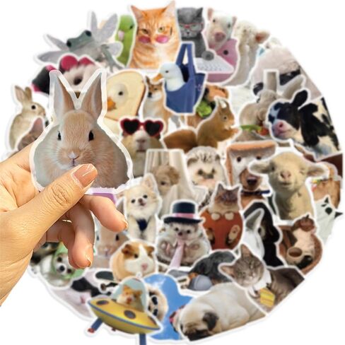 50 PCS Funny Dog and Cat Stickers for Kids Cute Animal Waterproof PET Sticker for Journaling Laptop Scrapbook Water Bottles Guitar Suitcase Phone Snowboard Cute Gifts for Women Girl Kids Adult Teens in Saudi Arabia