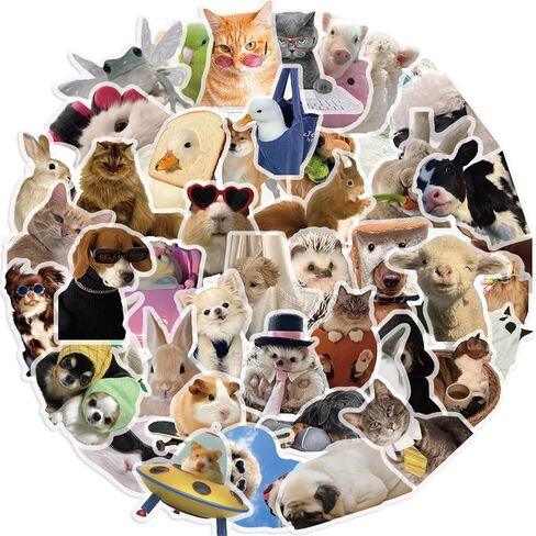 50 PCS Funny Dog and Cat Stickers for Kids Cute Animal Waterproof PET Sticker for Journaling Laptop Scrapbook Water Bottles Guitar Suitcase Phone Snowboard Cute Gifts for Women Girl Kids Adult Teens in Saudi Arabia