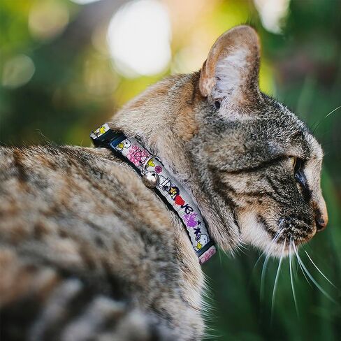Peanuts Worldwide LLC Cat Collar, Breakaway Collar with Bell, Peanuts Snoopy and Woodstock Graffiti Collage Multi Color, 8.5 to 12 Inches 0.5 Inch Wide in Saudi Arabia