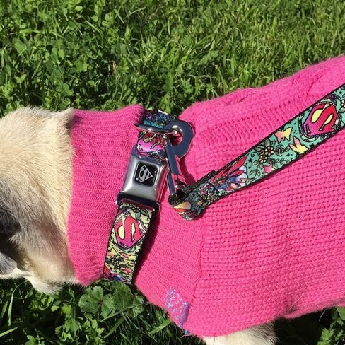 مقود الكلب، مشهد وشم الفتاة الخارقة، بطول 6 أقدام وعرض 1.0 بوصة in Kuwait