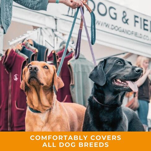 مقود منسوج منسوج من Dog & Field Lux ​​- أزرق مخضر. مقود منزلق بطول 4 أقدام للكلاب، حبل مضفر ناعم للكلاب مزود بتركيبات نحاسية وأربطة جلدية. مقود تدريب للكلاب، لا حاجة إلى طوق أو سرج، مقاس واحد in Saudi Arabia