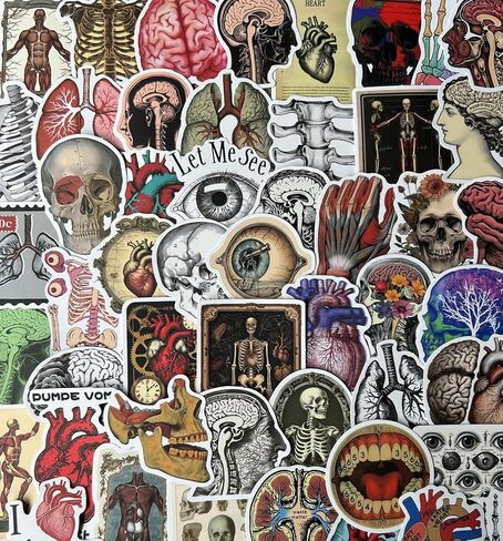 50 PCS Vintage Anatomy Stickers, Biology & Organ Sticker Pack for Medical Student Gifts, Notebook and Laptop Decoration in Kuwait