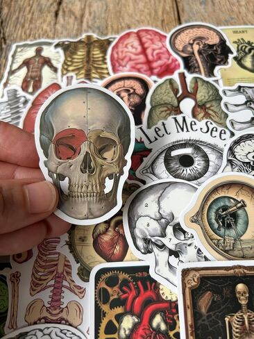 50 PCS Vintage Anatomy Stickers, Biology & Organ Sticker Pack for Medical Student Gifts, Notebook and Laptop Decoration in Kuwait