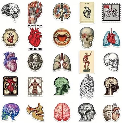50 PCS Vintage Anatomy Stickers, Biology & Organ Sticker Pack for Medical Student Gifts, Notebook and Laptop Decoration in Kuwait