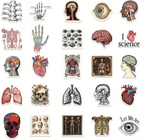 50 PCS Vintage Anatomy Stickers, Biology & Organ Sticker Pack for Medical Student Gifts, Notebook and Laptop Decoration in Kuwait