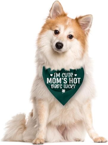 I’m Cute Mom’s Hot Dad’s Lucky Dog Bandana, Funny Pet Scarf Accessories for Small Medium Dogs Cats Photo Prop, Green Dog Bandana, Mother's Day Mom Birthday Gifts in Saudi Arabia