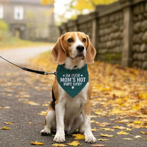 I’m Cute Mom’s Hot Dad’s Lucky Dog Bandana, Funny Pet Scarf Accessories for Small Medium Dogs Cats Photo Prop, Green Dog Bandana, Mother's Day Mom Birthday Gifts in Saudi Arabia