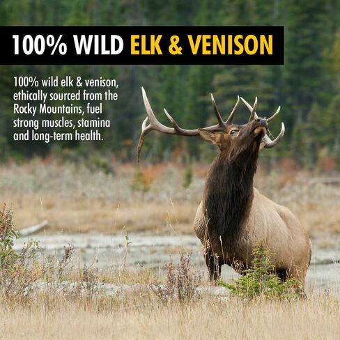 مكافآت الكلاب متعددة الأغراض من High Country Blueberry Elk & Venison - وجبات خفيفة طبيعية خالية من الحبوب للكلاب والجراء - بروتين للتدريب والمكافأة - بدون مواد حشو أو مواد حافظة صناعية، 8 أونصة، عبوة واحدة in Kuwait
