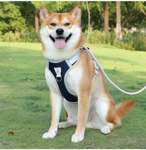 Pet Training Leash - Outdoor Adjustable Leash, Wide Anti-Slip Padded Handle Lead for Dog and Cat, Length 180CM in Saudi Arabia