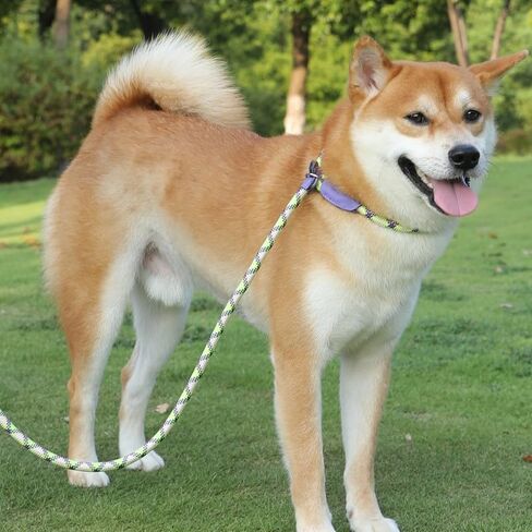 Pet Training Leash - Outdoor Adjustable Leash, Wide Anti-Slip Padded Handle Lead for Dog and Cat, Length 180CM in Saudi Arabia