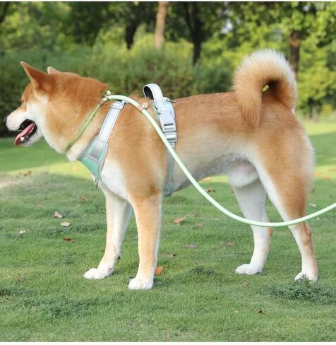 Pet Training Leash - Outdoor Adjustable Leash, Wide Anti-Slip Padded Handle Lead for Dog and Cat, Length 180CM in Saudi Arabia