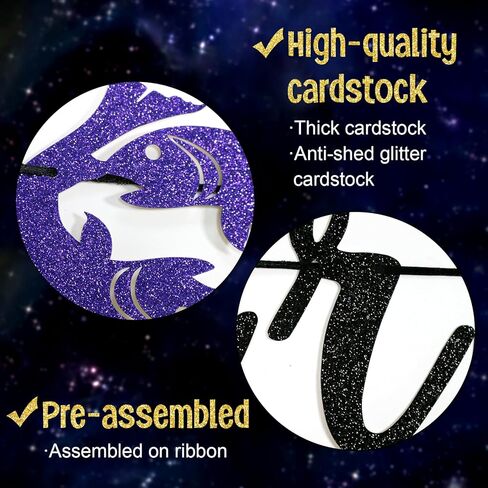 Party Like a Pisces Banner, February March Birthday Banner, Pisces Season Birthday Banner, Zodiac Birthday Banner, Birthday Decor for Pisces (Black) in Saudi Arabia