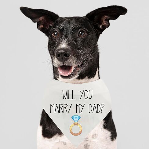 الكلب باندانا سوف تتزوج والدي، إعلان الخطوبة الكلب باندانا، مضحك صور الزفاف الدعامة، وشاح الحيوانات الأليفة الملحقات الهدايا لأصحاب محبي الكلاب in Kuwait