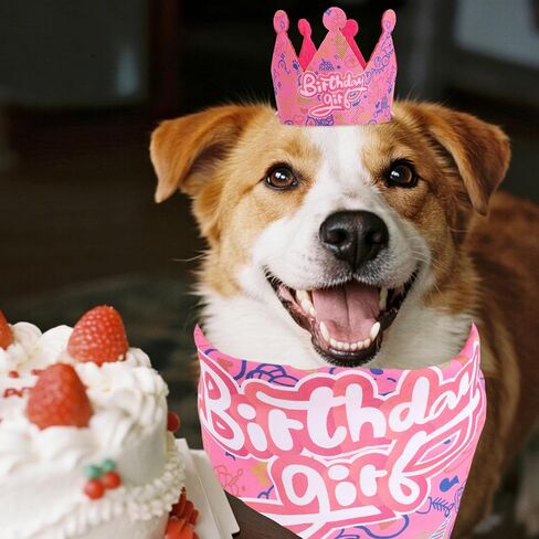 مجموعة باندانا وقبعة لعيد ميلاد الحيوانات الأليفة للكلاب والقطط، وشاح لحفلات الحيوانات الأليفة قابل للتعديل، فستان للكلاب، لوازم حفلات أعياد الميلاد، زينة لاحتفالات البنات والجراء والقطط in Kuwait