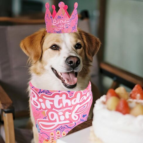 مجموعة باندانا وقبعة لعيد ميلاد الحيوانات الأليفة للكلاب والقطط، وشاح لحفلات الحيوانات الأليفة قابل للتعديل، فستان للكلاب، لوازم حفلات أعياد الميلاد، زينة لاحتفالات البنات والجراء والقطط in Kuwait