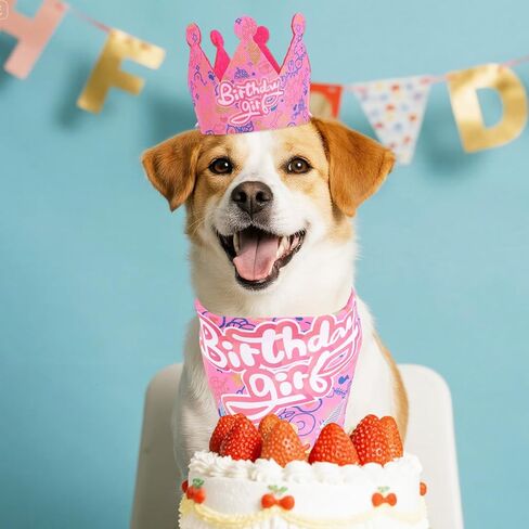 مجموعة باندانا وقبعة لعيد ميلاد الحيوانات الأليفة للكلاب والقطط، وشاح لحفلات الحيوانات الأليفة قابل للتعديل، فستان للكلاب، لوازم حفلات أعياد الميلاد، زينة لاحتفالات البنات والجراء والقطط in Kuwait